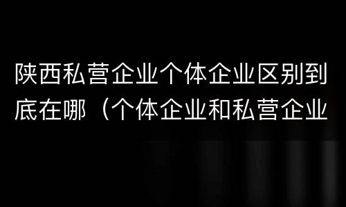 陕西私营企业个体企业区别到底在哪（个体企业和私营企业有哪些）