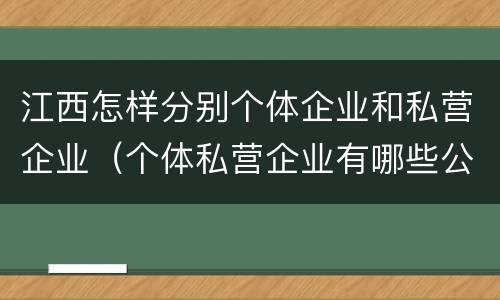 江西怎样分别个体企业和私营企业（个体私营企业有哪些公司）