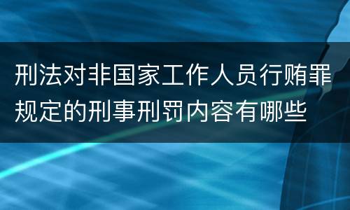 刑法对非国家工作人员行贿罪规定的刑事刑罚内容有哪些