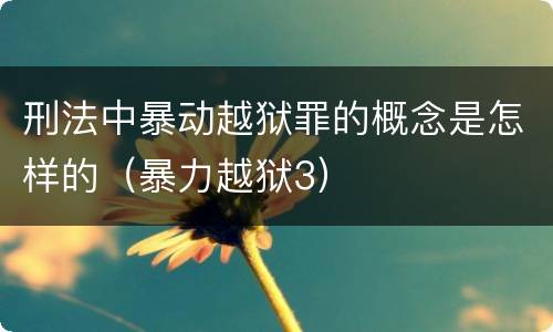 刑法中暴动越狱罪的概念是怎样的（暴力越狱3）
