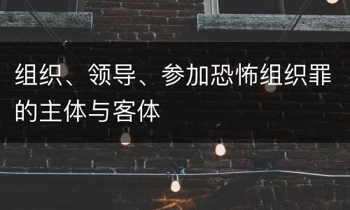 组织、领导、参加恐怖组织罪的主体与客体