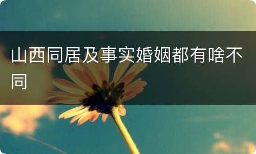 山西同居及事实婚姻都有啥不同
