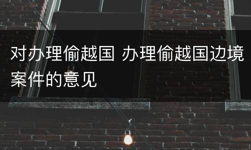 对办理偷越国 办理偷越国边境案件的意见