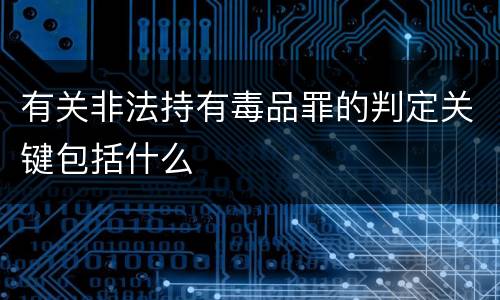 有关非法持有毒品罪的判定关键包括什么