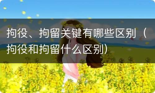 拘役、拘留关键有哪些区别（拘役和拘留什么区别）