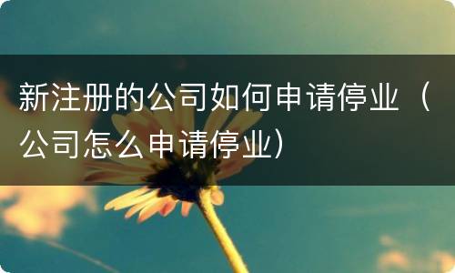 新注册的公司如何申请停业（公司怎么申请停业）