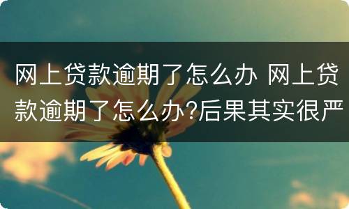 网上贷款逾期了怎么办 网上贷款逾期了怎么办?后果其实很严重