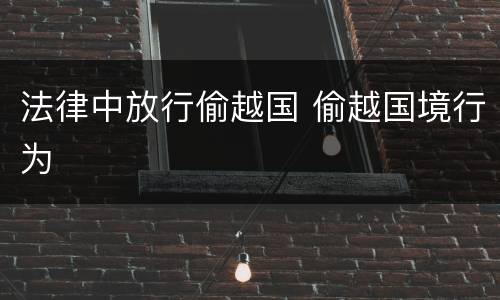 法律中放行偷越国 偷越国境行为