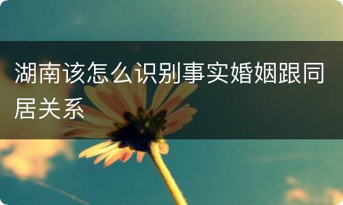 湖南该怎么识别事实婚姻跟同居关系