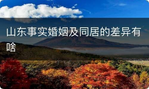 山东事实婚姻及同居的差异有啥