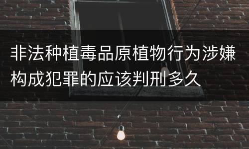 非法种植毒品原植物行为涉嫌构成犯罪的应该判刑多久
