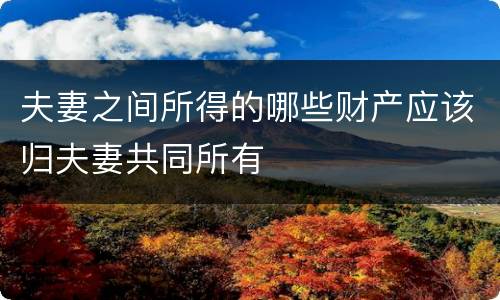 夫妻之间所得的哪些财产应该归夫妻共同所有
