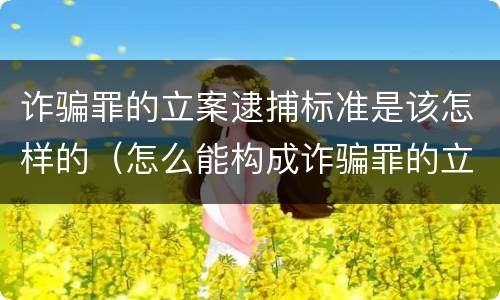 诈骗罪的立案逮捕标准是该怎样的（怎么能构成诈骗罪的立案标准）