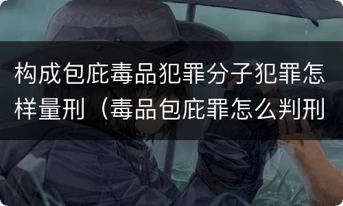 构成包庇毒品犯罪分子犯罪怎样量刑（毒品包庇罪怎么判刑）