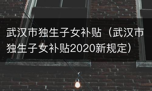 武汉市独生子女补贴（武汉市独生子女补贴2020新规定）