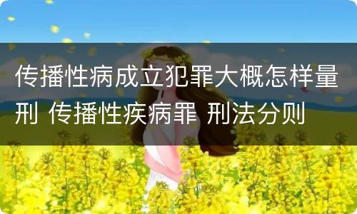 传播性病成立犯罪大概怎样量刑 传播性疾病罪 刑法分则