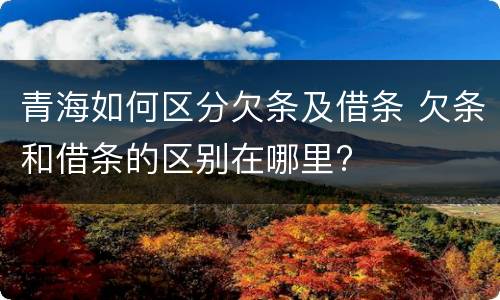 青海如何区分欠条及借条 欠条和借条的区别在哪里?
