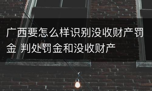 广西要怎么样识别没收财产罚金 判处罚金和没收财产