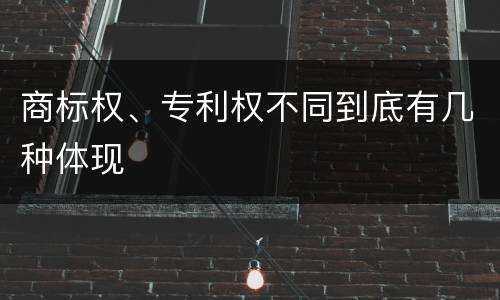 商标权、专利权不同到底有几种体现