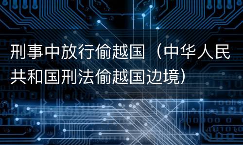 刑事中放行偷越国（中华人民共和国刑法偷越国边境）