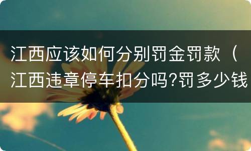 江西应该如何分别罚金罚款（江西违章停车扣分吗?罚多少钱?）