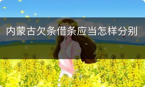 内蒙古欠条借条应当怎样分别