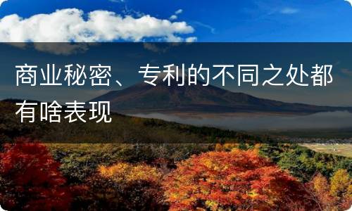 商业秘密、专利的不同之处都有啥表现