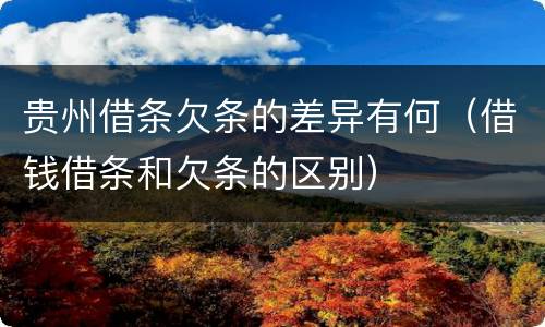 贵州借条欠条的差异有何（借钱借条和欠条的区别）