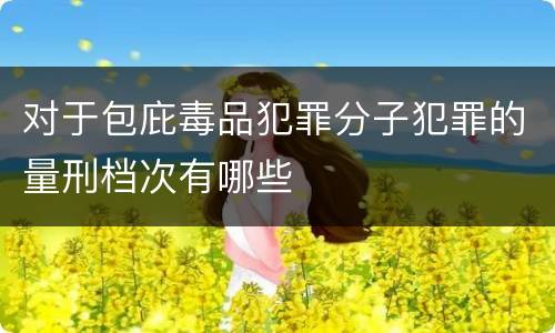 对于包庇毒品犯罪分子犯罪的量刑档次有哪些