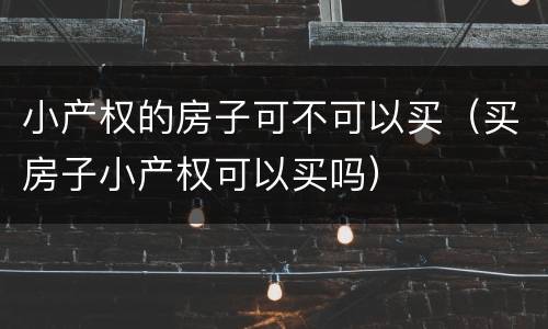 小产权的房子可不可以买（买房子小产权可以买吗）