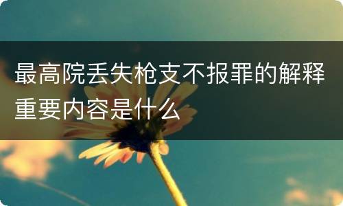 最高院丢失枪支不报罪的解释重要内容是什么