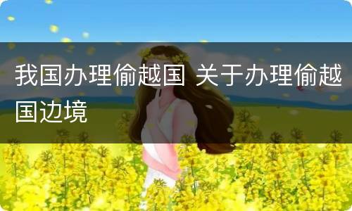 我国办理偷越国 关于办理偷越国边境