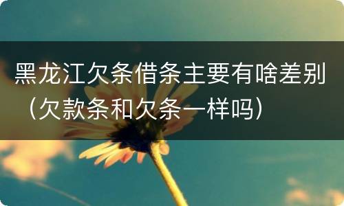 黑龙江欠条借条主要有啥差别（欠款条和欠条一样吗）