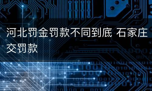 河北罚金罚款不同到底 石家庄交罚款