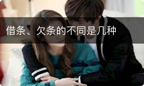 借条、欠条的不同是几种