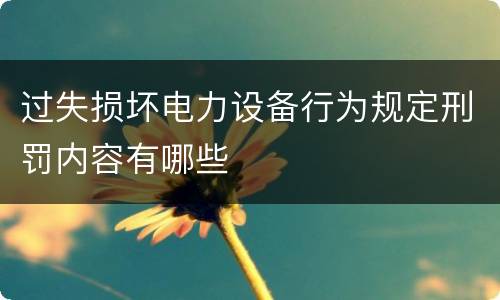 过失损坏电力设备行为规定刑罚内容有哪些