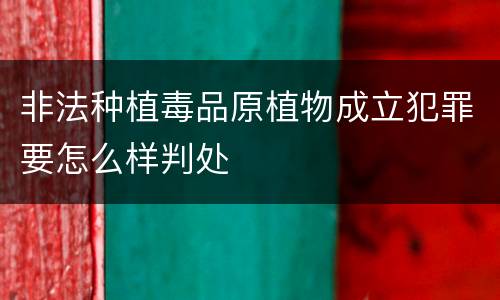 非法种植毒品原植物成立犯罪要怎么样判处