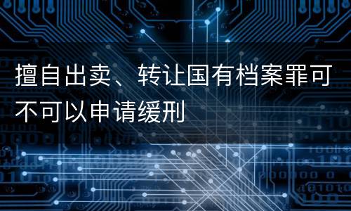 擅自出卖、转让国有档案罪可不可以申请缓刑