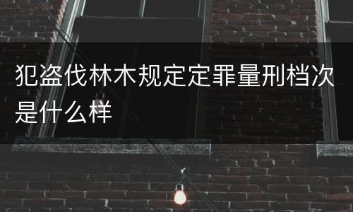 犯盗伐林木规定定罪量刑档次是什么样
