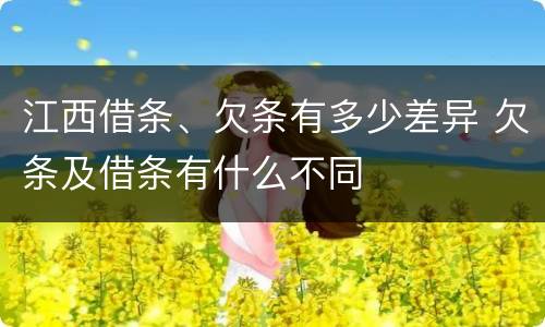 江西借条、欠条有多少差异 欠条及借条有什么不同