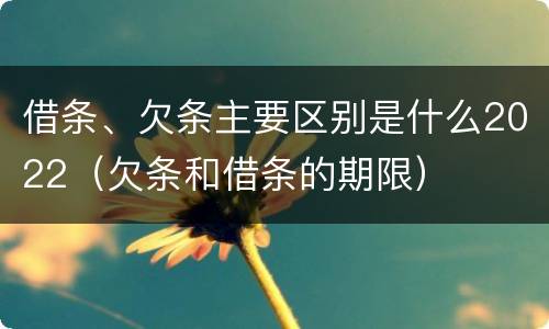 借条、欠条主要区别是什么2022（欠条和借条的期限）