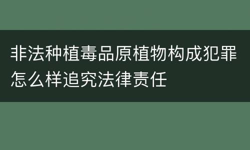 非法种植毒品原植物构成犯罪怎么样追究法律责任