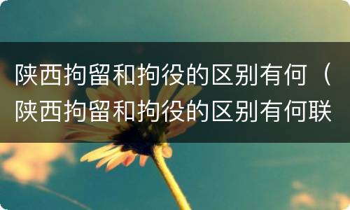 陕西拘留和拘役的区别有何（陕西拘留和拘役的区别有何联系）