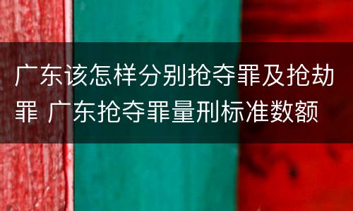 广东该怎样分别抢夺罪及抢劫罪 广东抢夺罪量刑标准数额