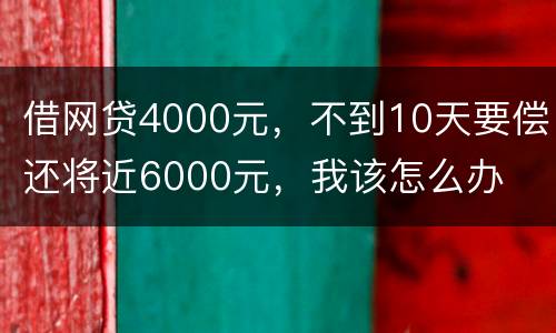 借网贷4000元，不到10天要偿还将近6000元，我该怎么办