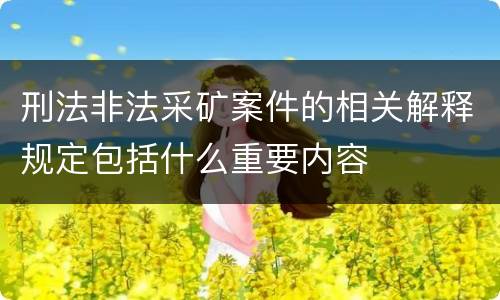 刑法非法采矿案件的相关解释规定包括什么重要内容