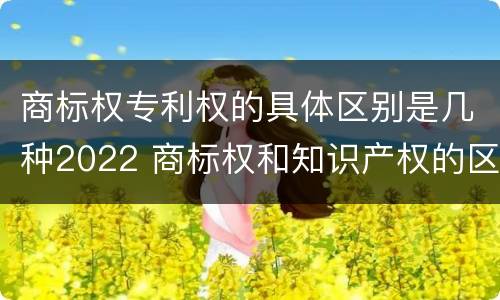商标权专利权的具体区别是几种2022 商标权和知识产权的区别