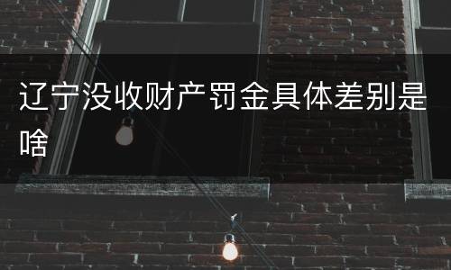 辽宁没收财产罚金具体差别是啥