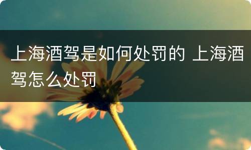 上海酒驾是如何处罚的 上海酒驾怎么处罚