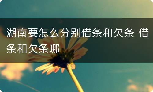 湖南要怎么分别借条和欠条 借条和欠条哪